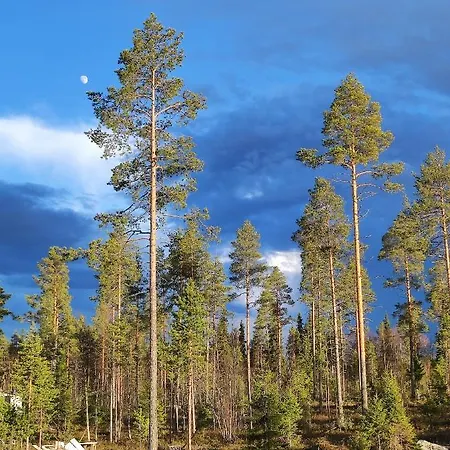 Large House With Personality And Calming View Rovaniemi